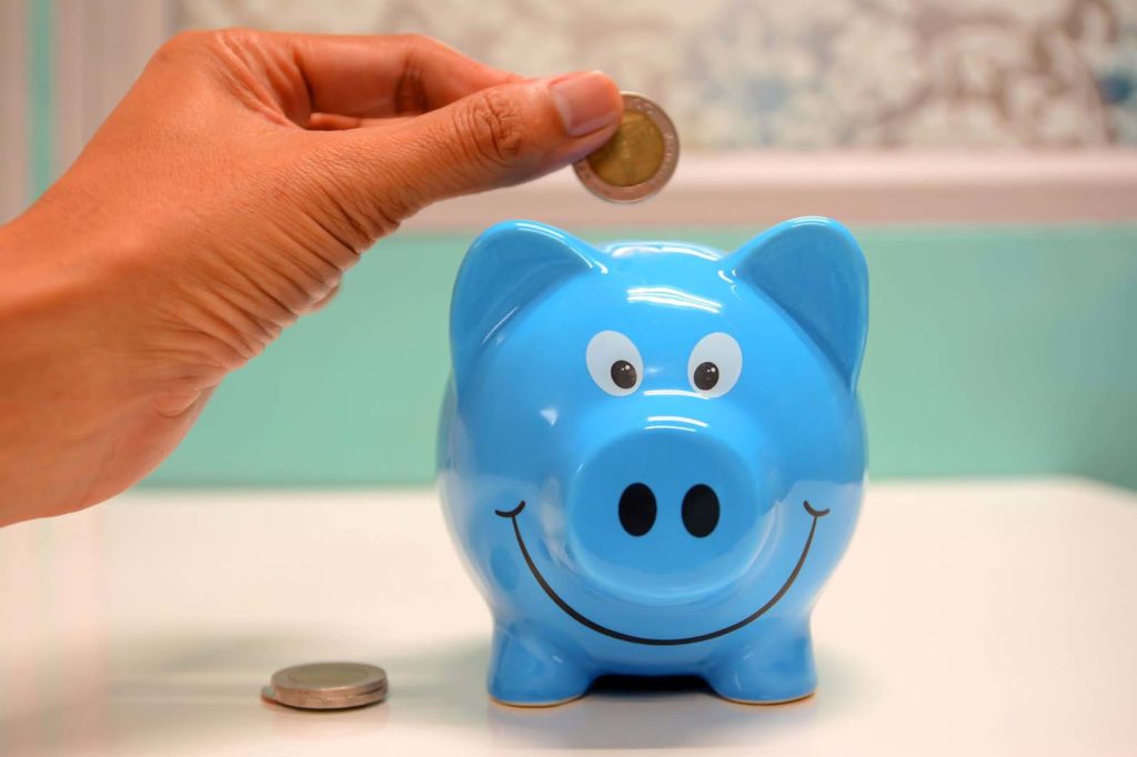 Piggy Bank Savings